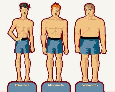 Tipos de cuerpos masculinos